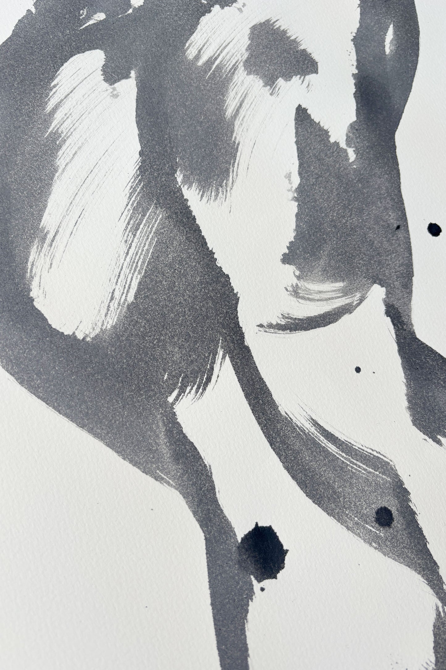 Rhapsody in Black series