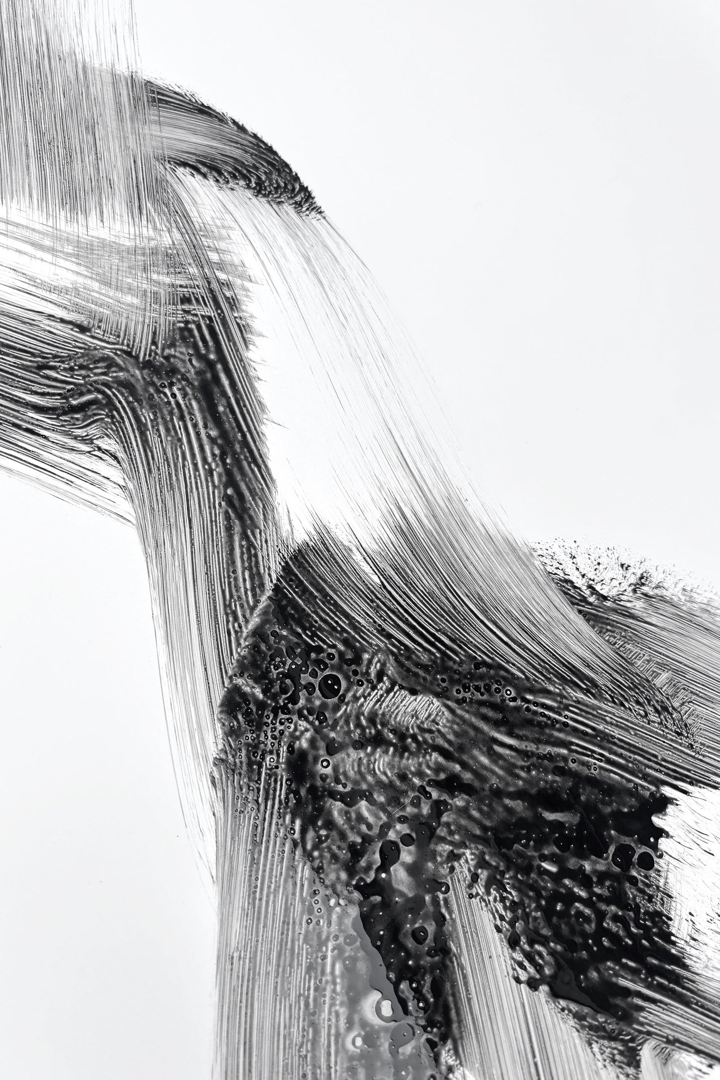 Rhapsody in Black series