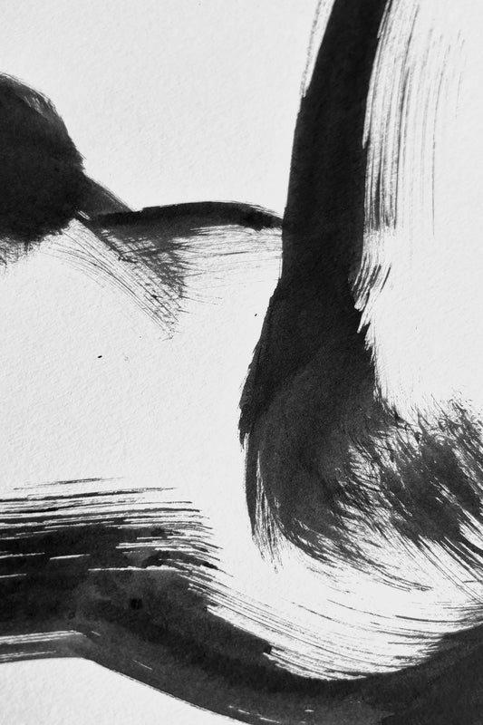 Rhapsody in Black series