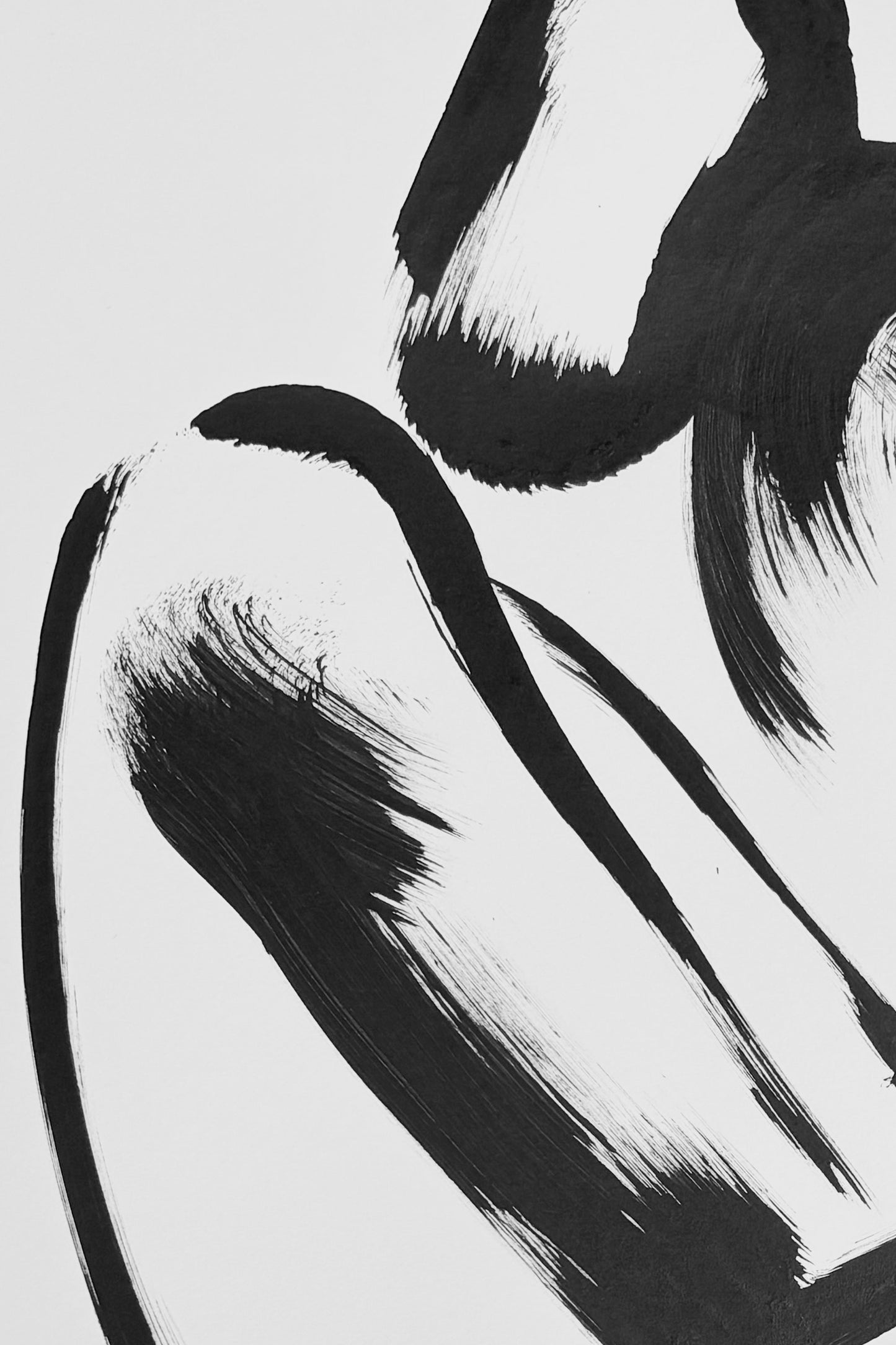 Rhapsody in Black series