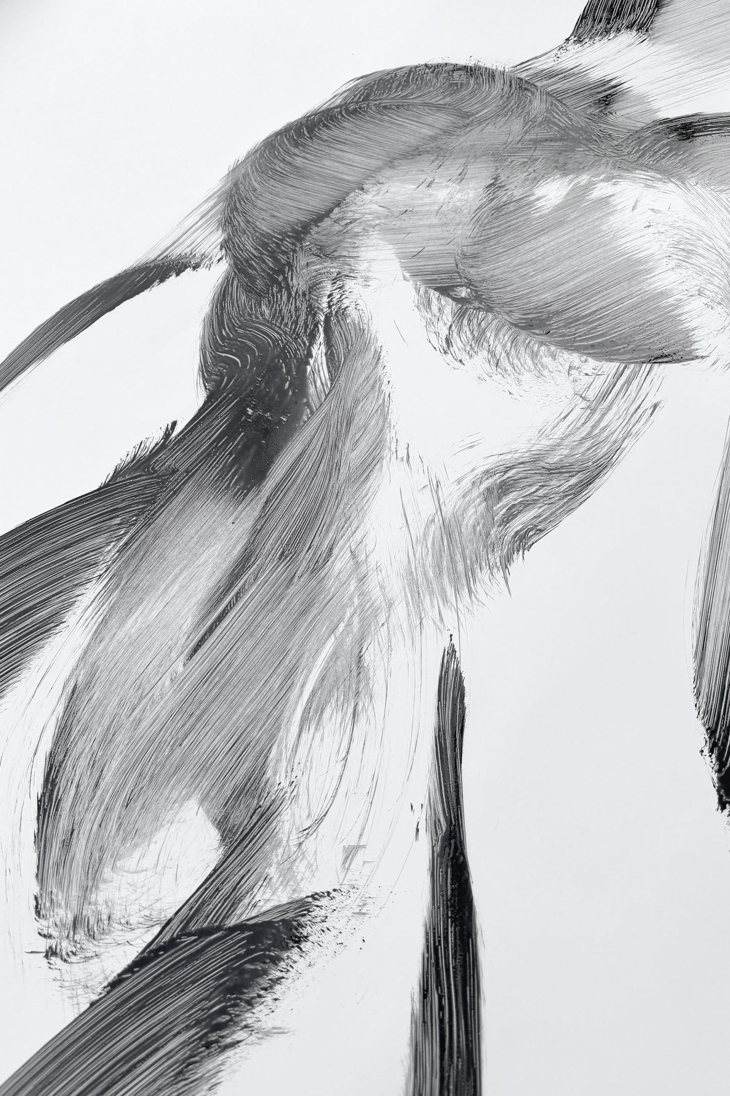 Rhapsody in Black series