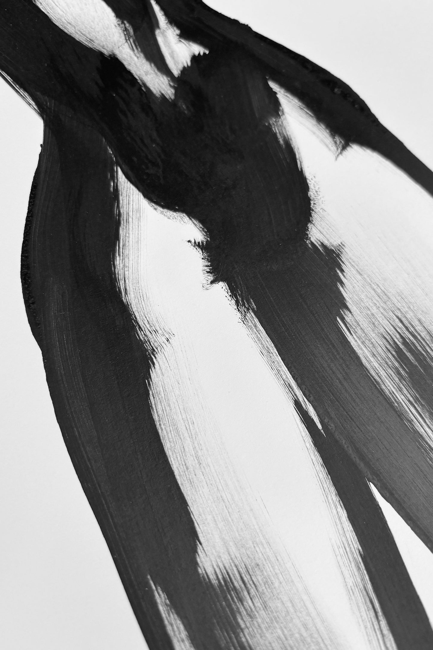 Rhapsody in Black series