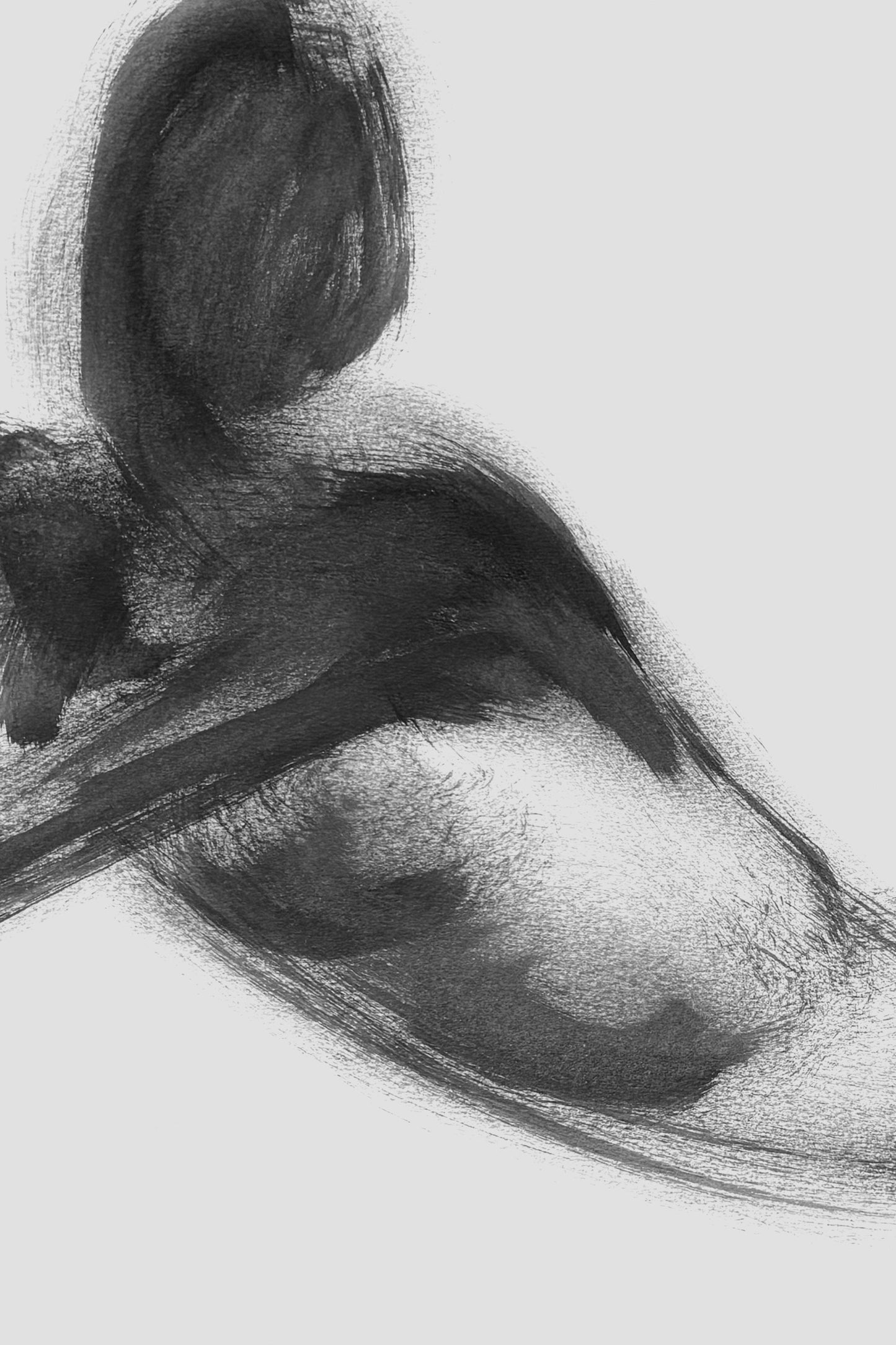 Rhapsody in Black series